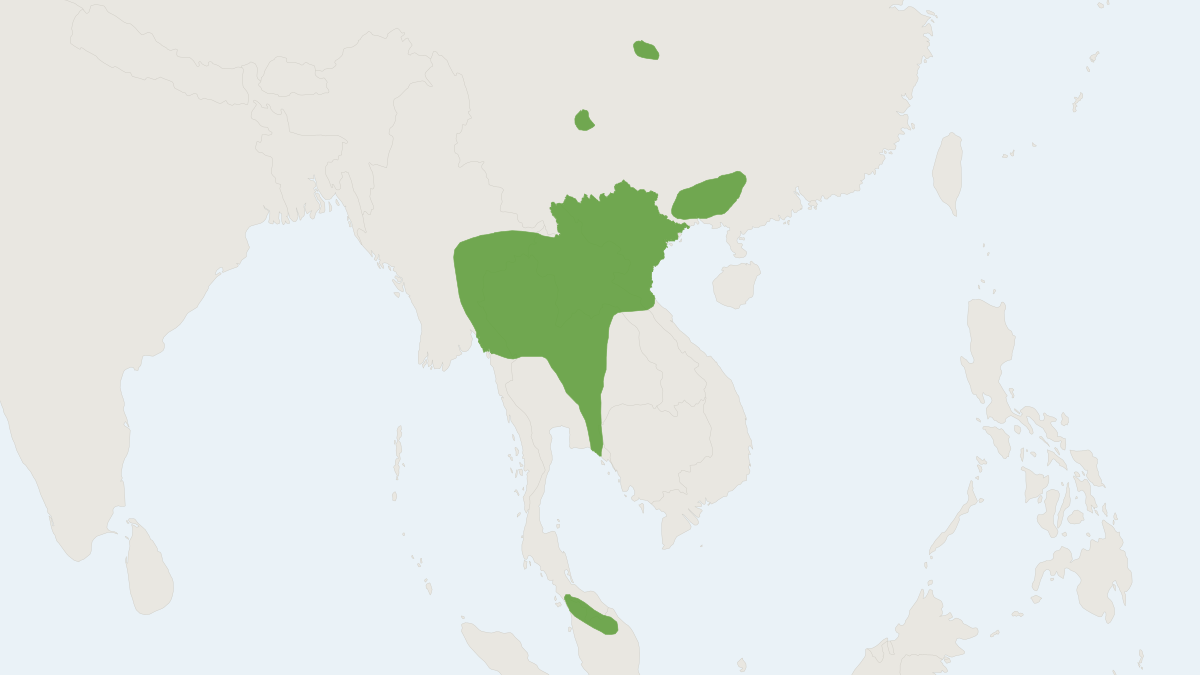 Range map of the Marshall's Horseshoe Bat (Rhinolophus marshalli)