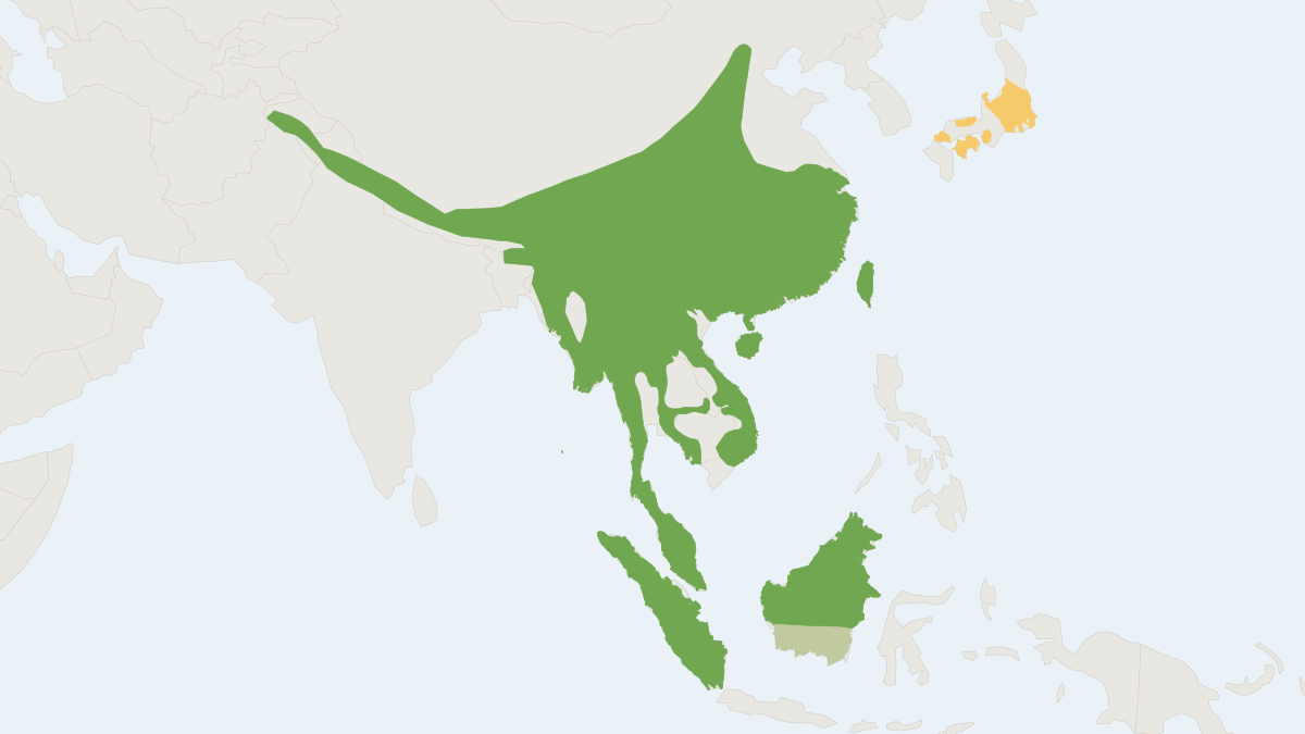 Range map of the Masked Palm Civet (Paguma larvata)