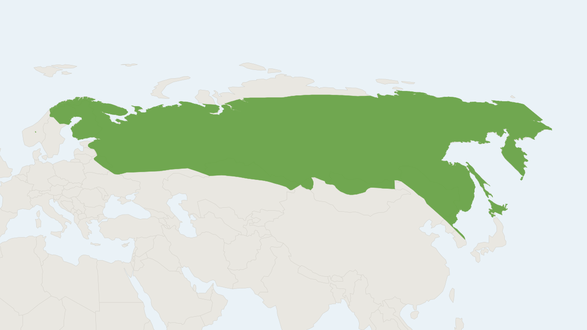 Range map of the Masked Shrew (Sorex caecutiens)