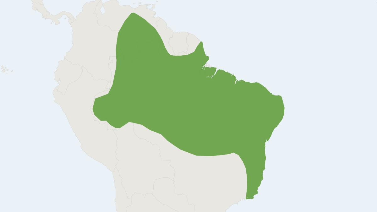 Range map of the Mato Grosso Dog-faced Bat (Molossops mattogrossensis)