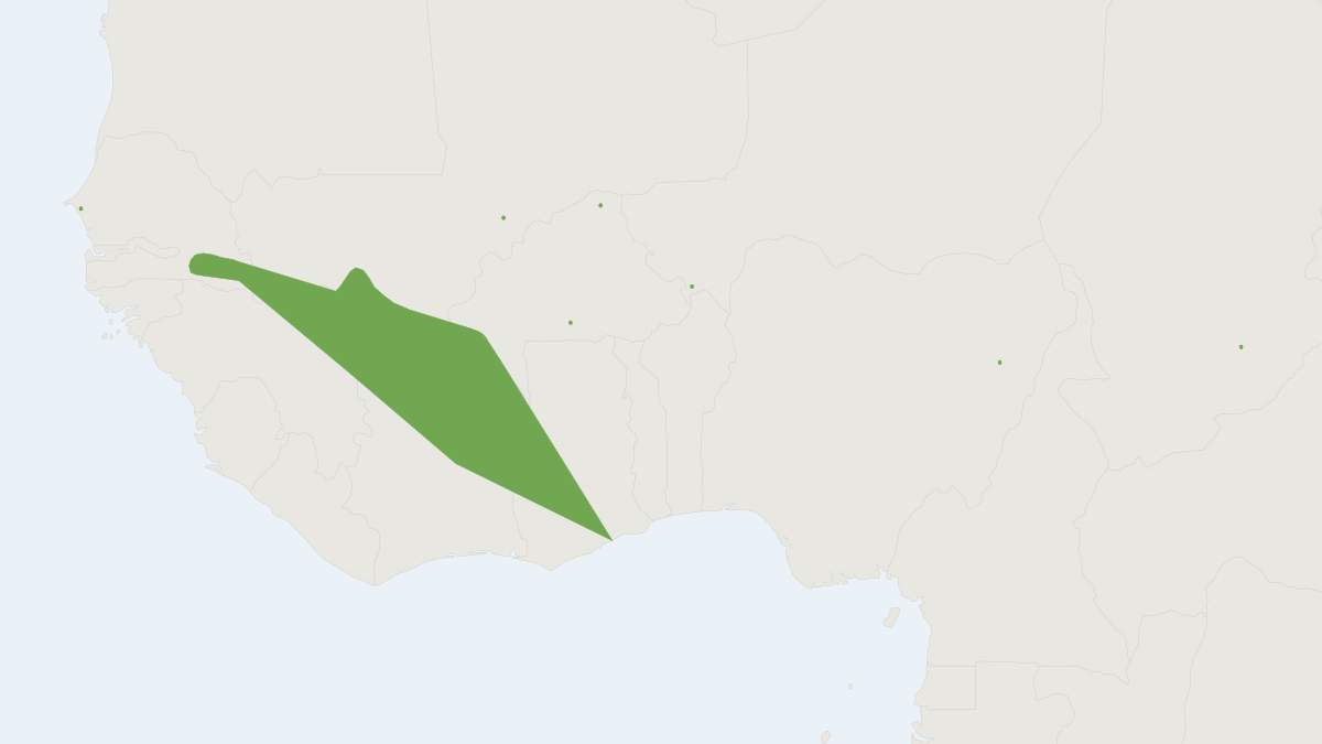 Range map of the Matthey's Mouse (Mus mattheyi)
