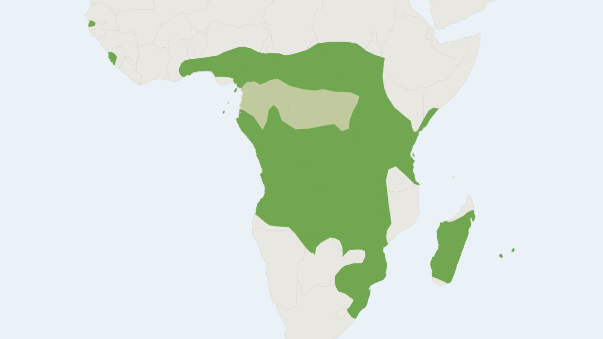 Range map of the Mauritian Tomb Bat (Taphozous mauritianus)