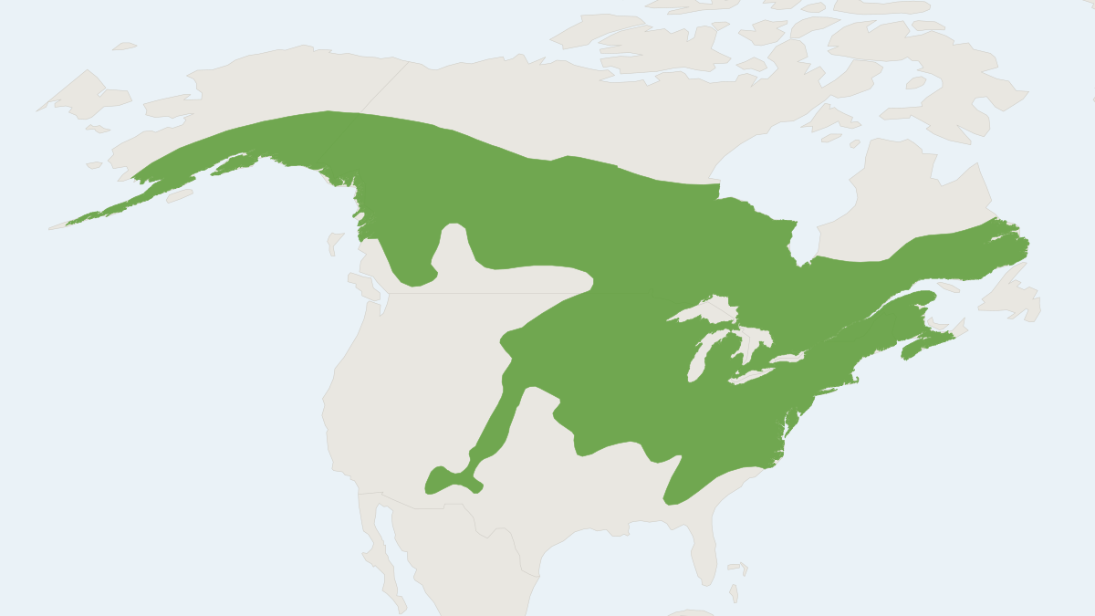 Range map of the Meadow Jumping Mouse (Zapus hudsonius)