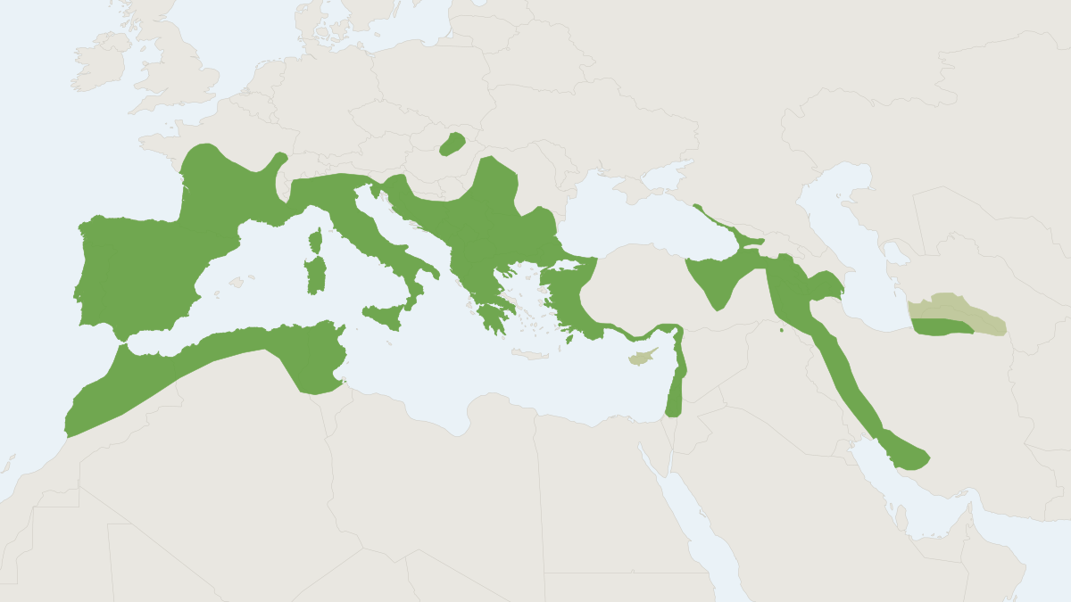 Range map of the Mediterranean Horseshoe Bat (Rhinolophus euryale)