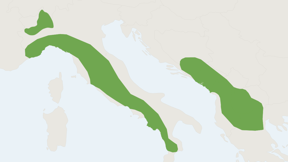 Range map of the Mediterranean Mole (Talpa caeca)