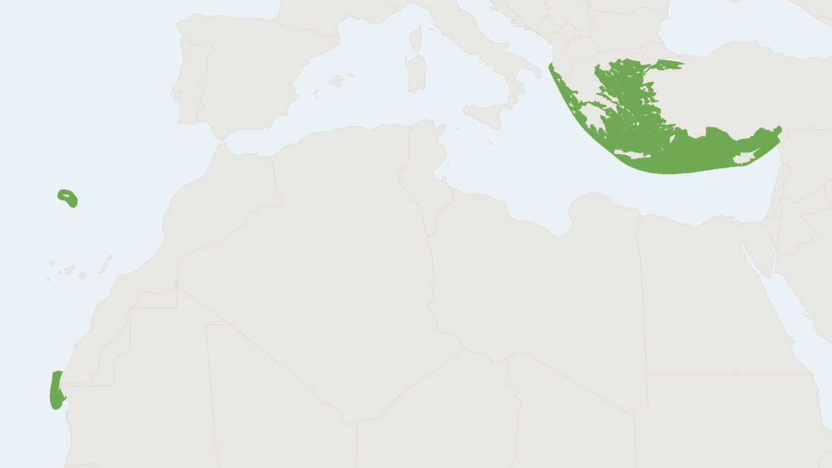 Range map of the Mediterranean Monk Seal (Monachus monachus) covering Croatia, Cyprus and Greece