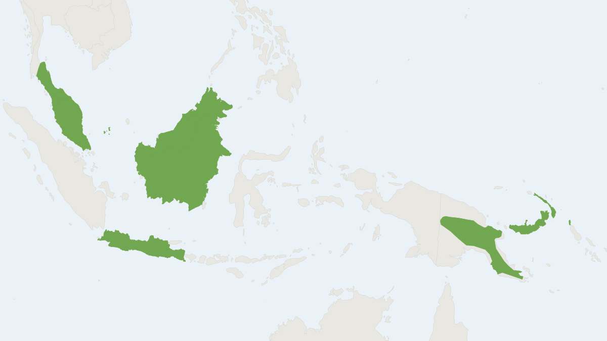Range map of the Medium Bent-winged Bat (Miniopterus medius)