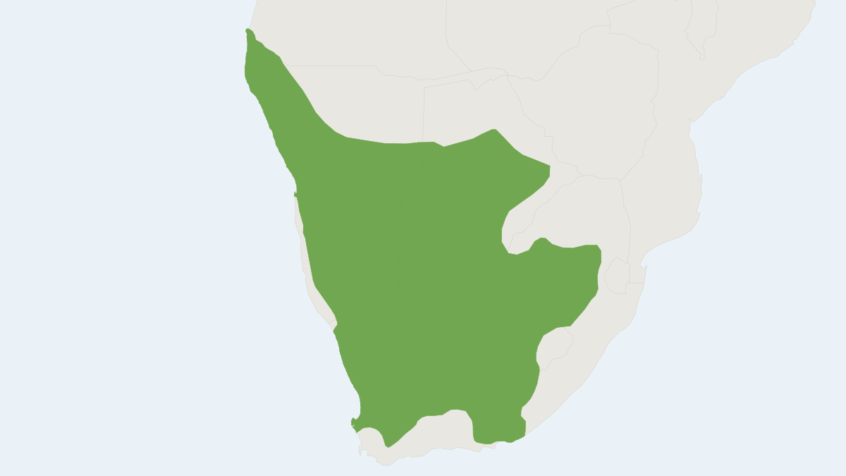 Range map of the Meerkat (Suricata suricatta) covering Angola, Botswana and Namibia
