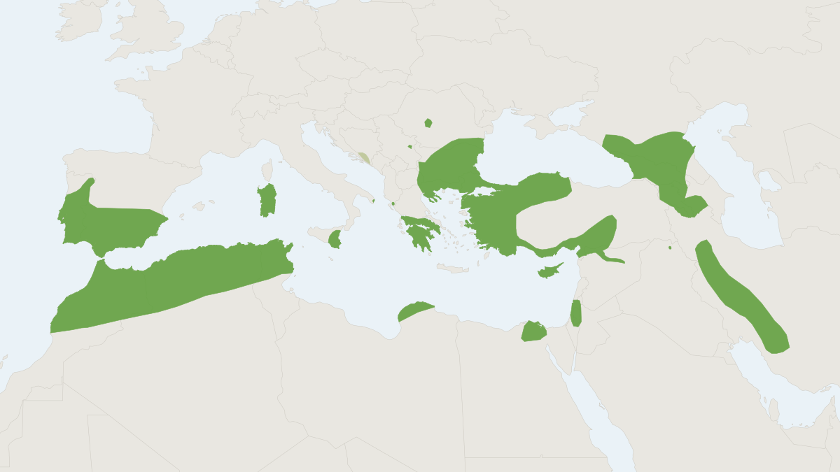 Range map of the Mehely's Horseshoe Bat (Rhinolophus mehelyi)