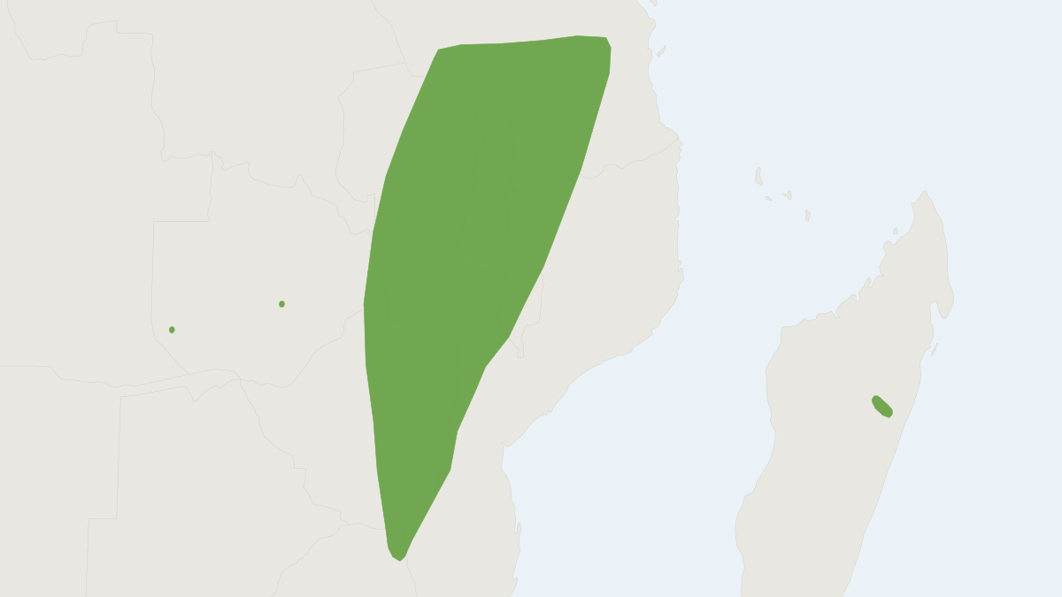 Range map of the Melck's Serotine Bat (Neoromicia melckorum)