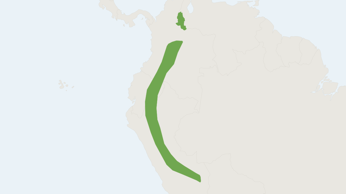 Range map of the Melissa's Yellow-eared Bat (Vampyressa melissa)