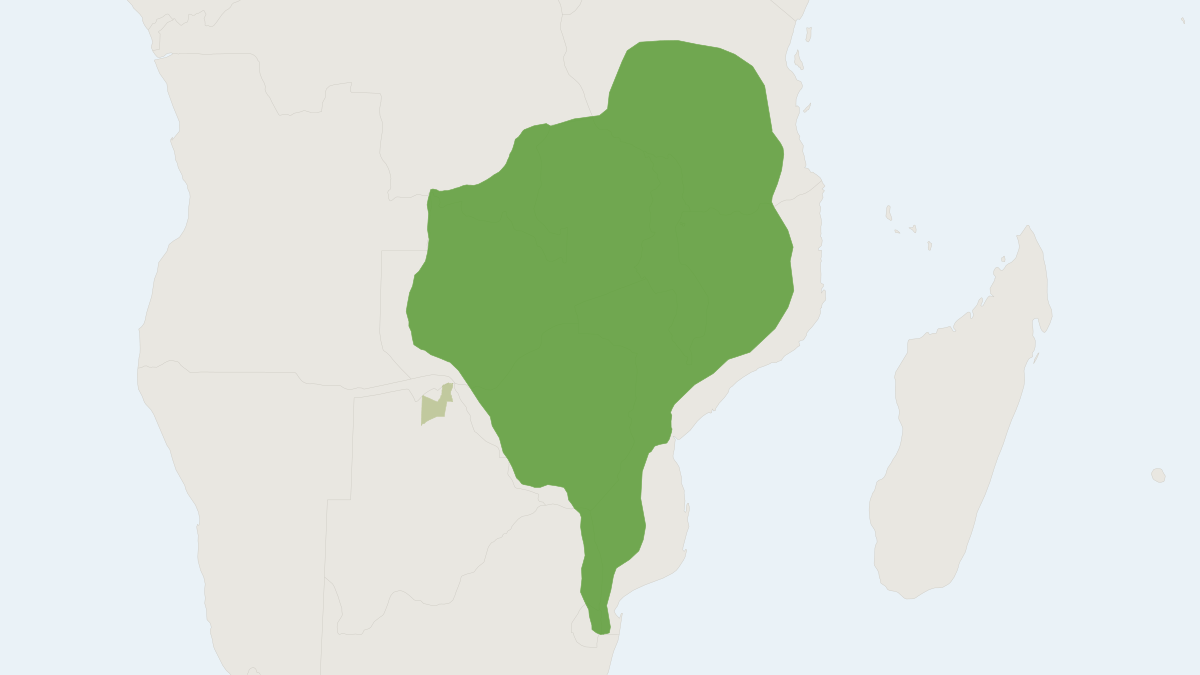 Range map of the Meller's Mongoose (Rhynchogale melleri)