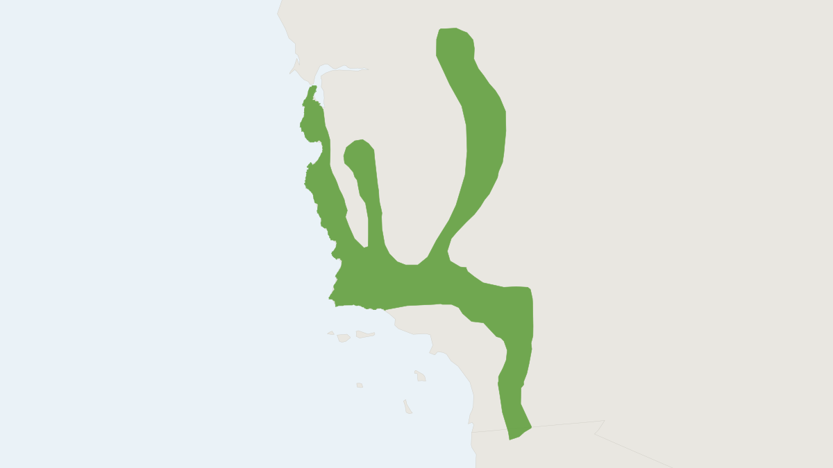 Range map of the Merriam's Chipmunk (Neotamias merriami)