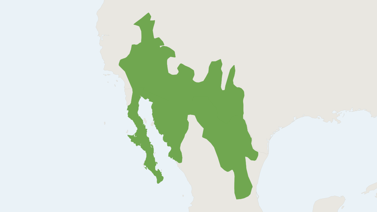 Range map of the Merriam's Kangaroo Rat (Dipodomys merriami)