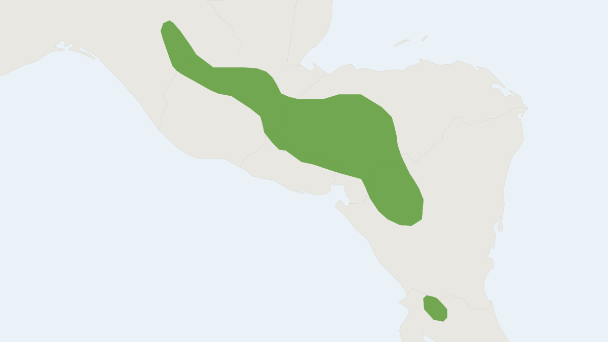 Range map of the Merriam's Small-eared Shrew (Cryptotis merriami)