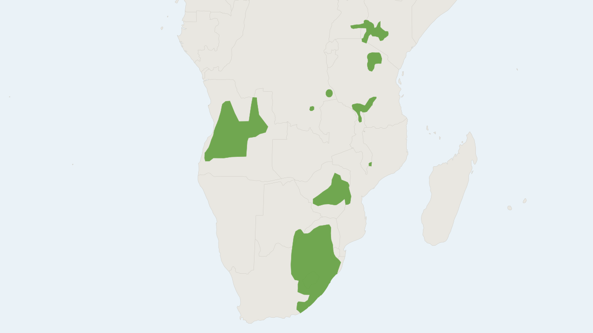 Range map of the Mesic Four-striped Grass Rat (Rhabdomys dilectus)