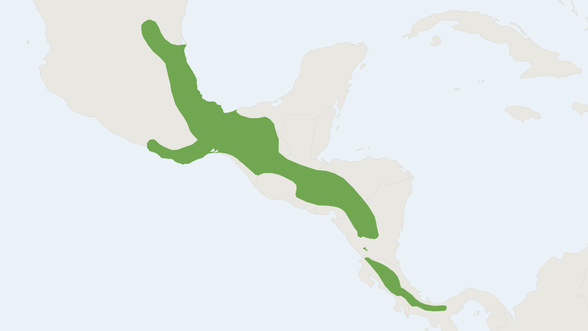 Range map of the Mexican Deer Mouse (Peromyscus mexicanus)