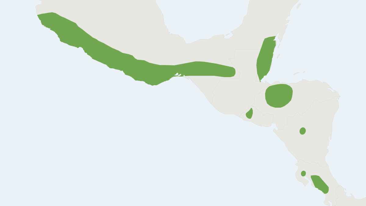 Range map of the Mexican Dog-faced Bat (Cynomops mexicanus)