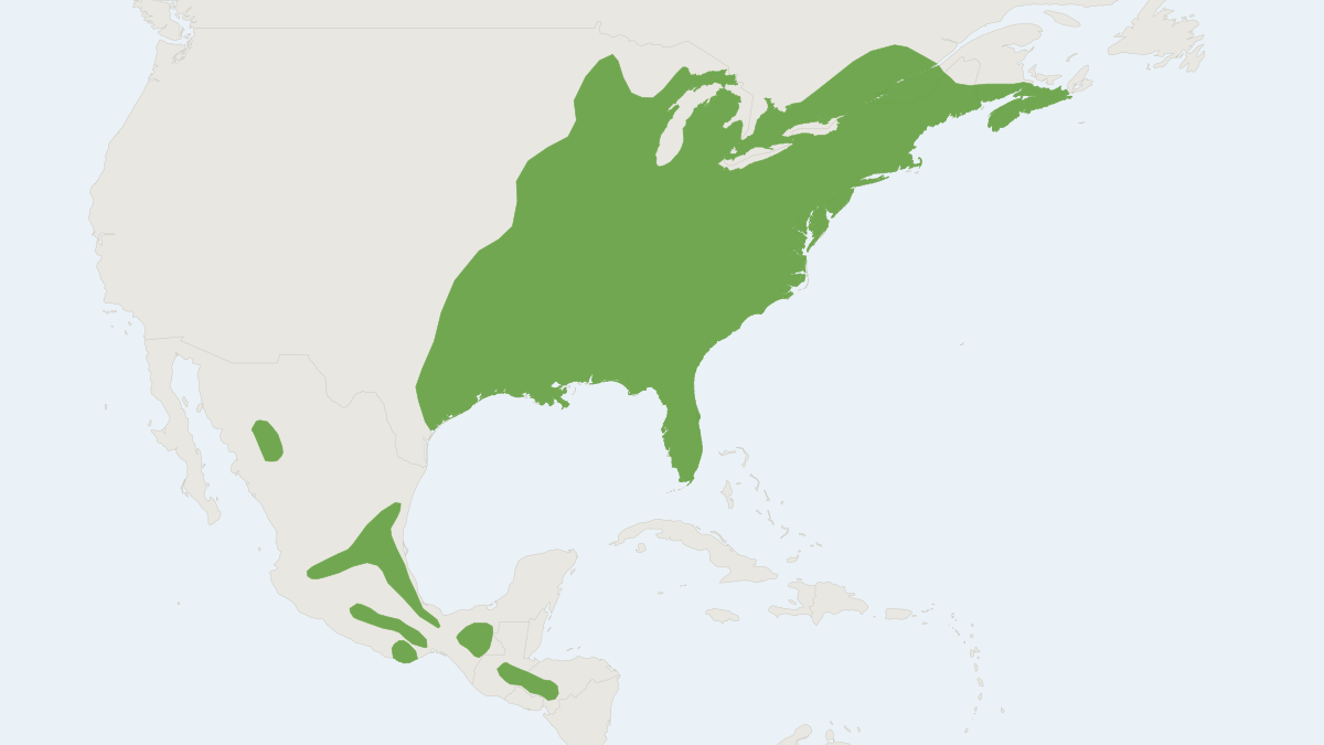 Range map of the Mexican Flying Squirrel (Glaucomys volans)