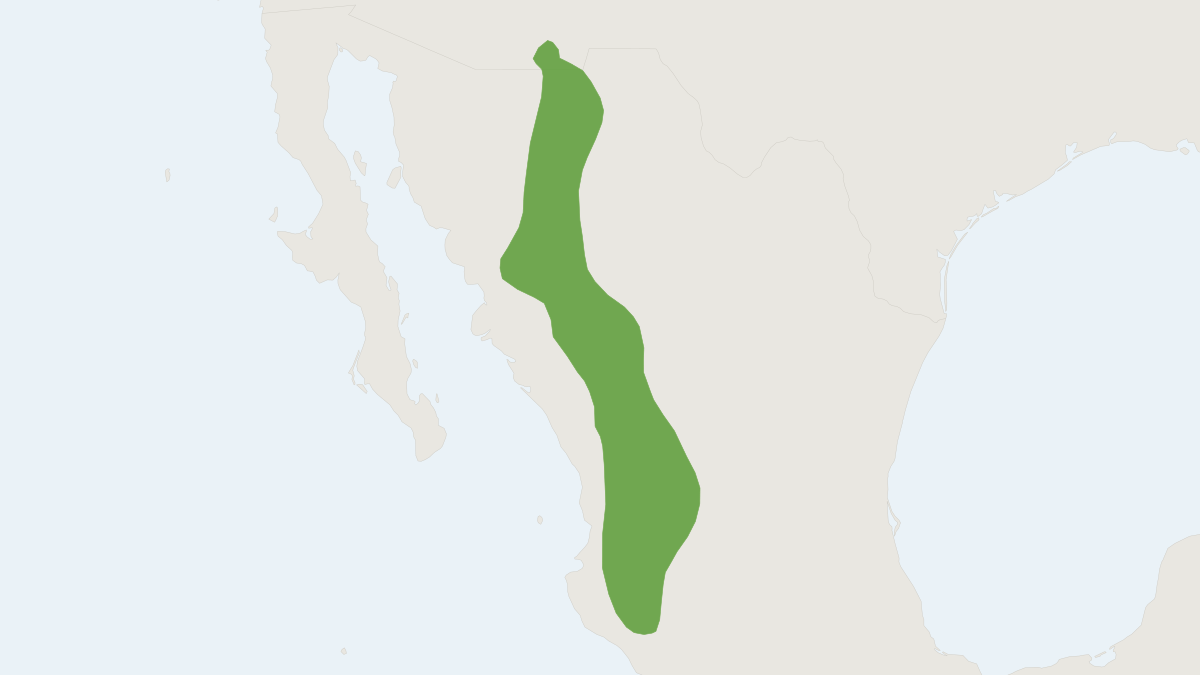 Range map of the Mexican Fox Squirrel (Sciurus nayaritensis)