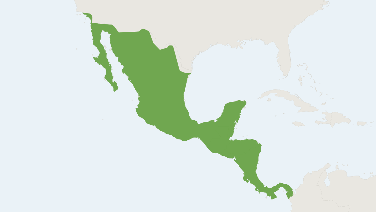 Range map of the Mexican Greater Funnel-eared Bat (Natalus mexicanus)