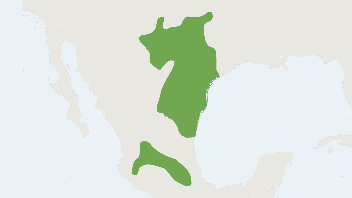 Range map of the Mexican Ground Squirrel (Ictidomys mexicanus)