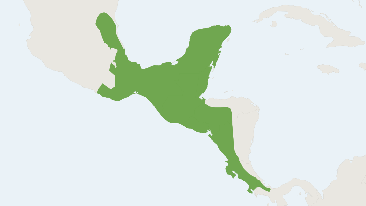 Range map of the Mexican Hairy Dwarf Porcupine (Coendou mexicanus)