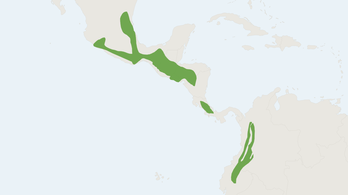 Range map of the Mexican Harvest Mouse (Reithrodontomys mexicanus)
