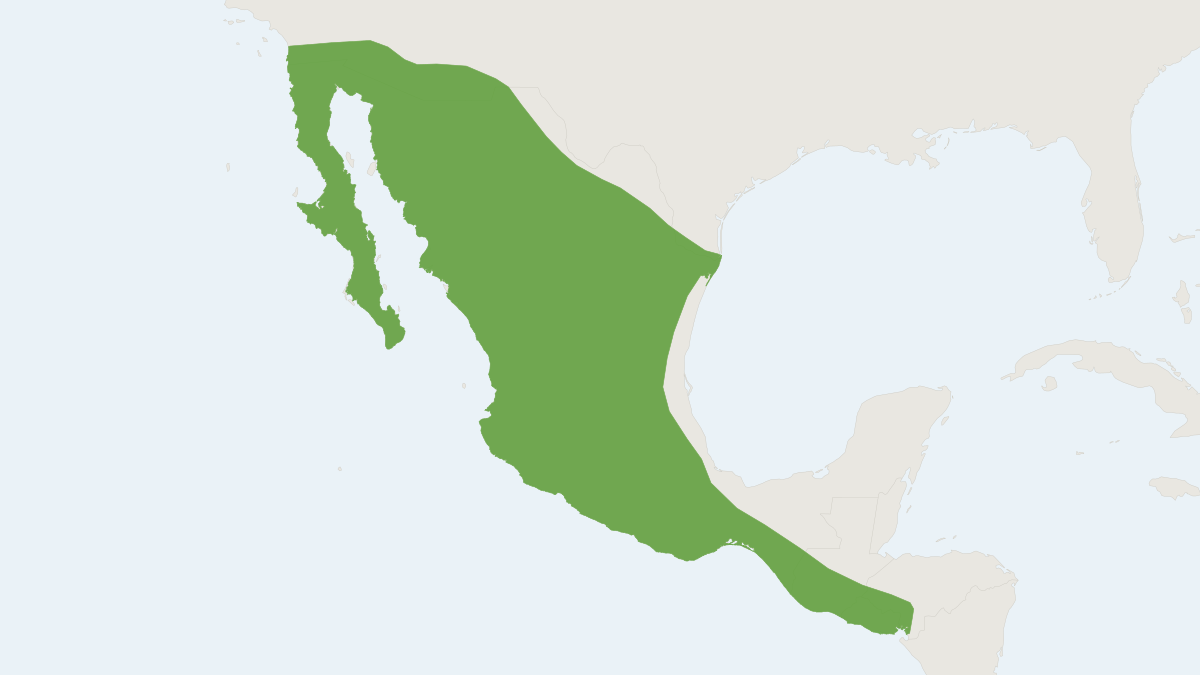 Range map of the Mexican Long-tongued Bat (Choeronycteris mexicana) covering El Salvador, Guatemala and Honduras