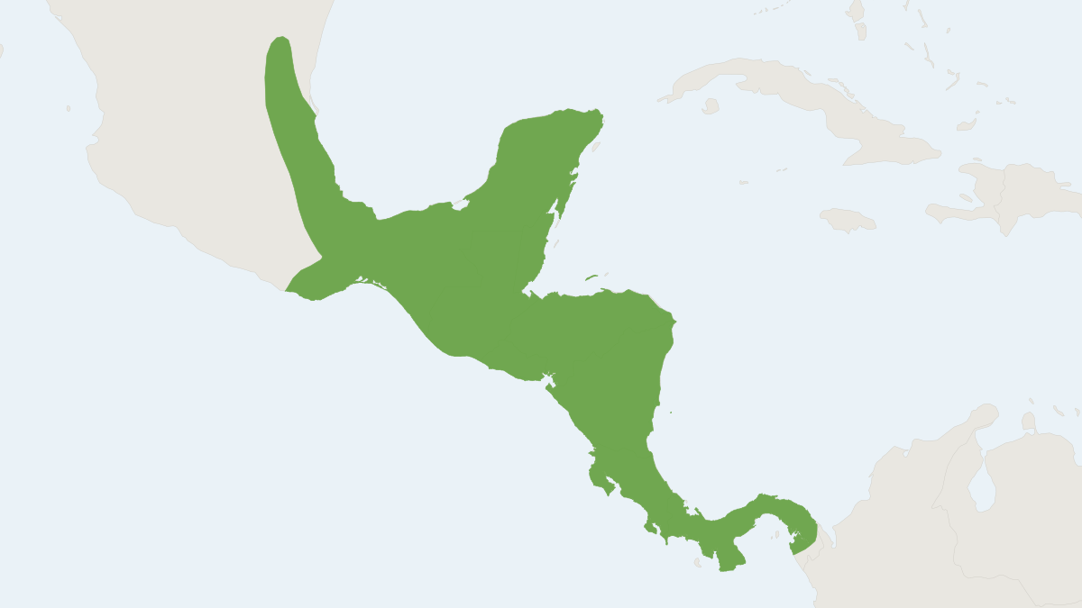 Range map of the Mexican Mouse Opossum (Marmosa mexicana)