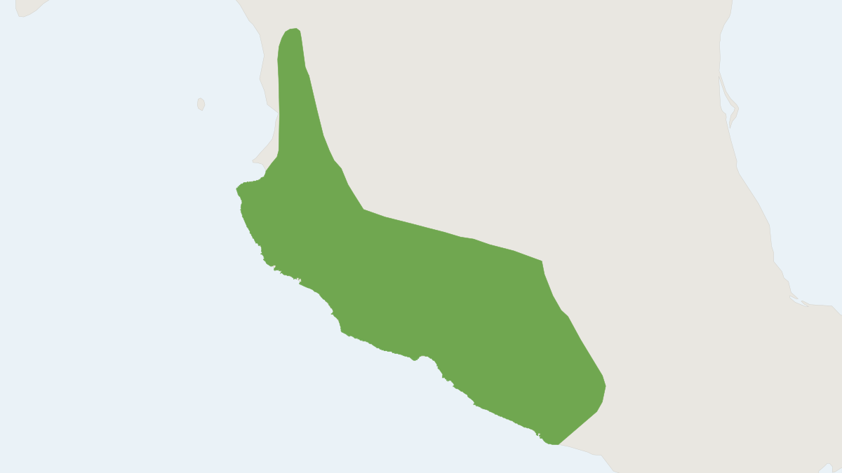 Range map of the Mexican Shrew (Megasorex gigas)