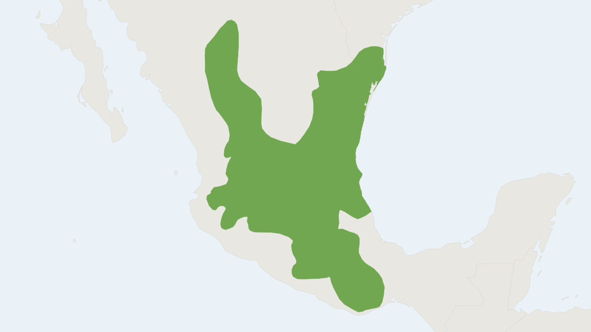 Range map of the Mexican Spiny Pocket Mouse (Heteromys irroratus)