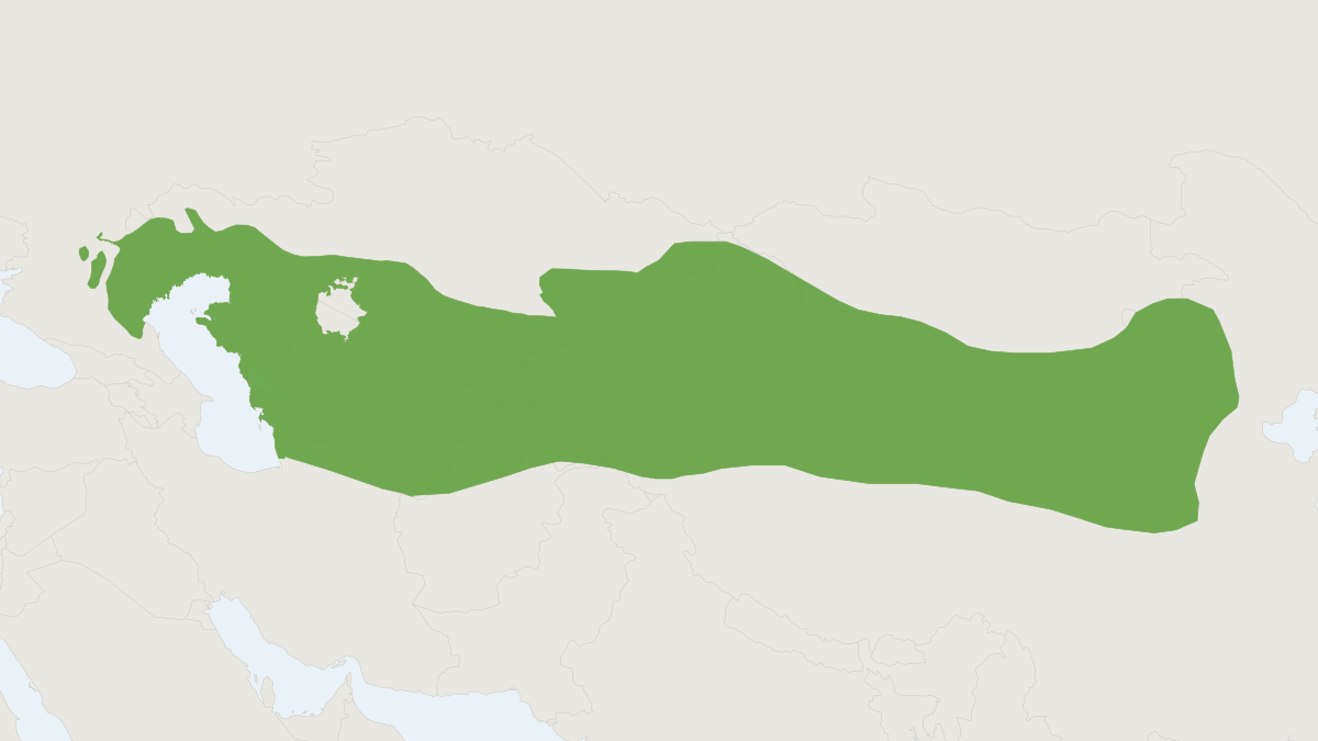 Range map of the Mid-day Gerbil (Meriones meridianus)