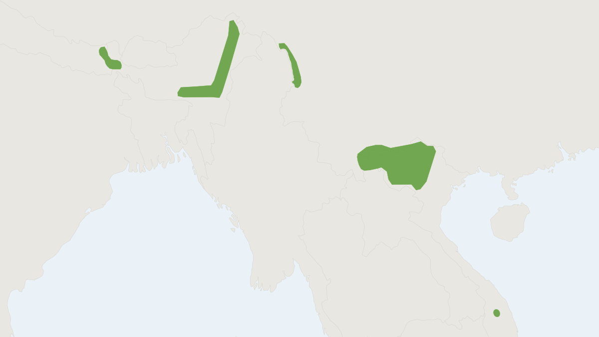Range map of the Millard's Rat (Dacnomys millardi)