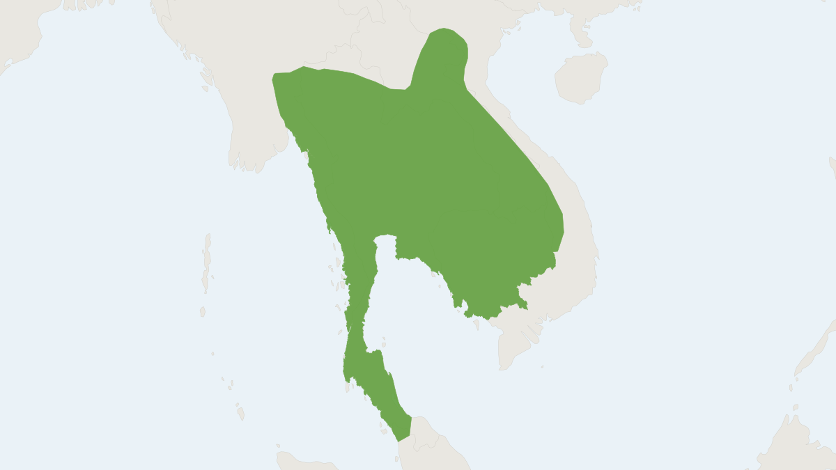Range map of the Miller’s Flat-headed Woolly Bat (Kerivoula depressa)
