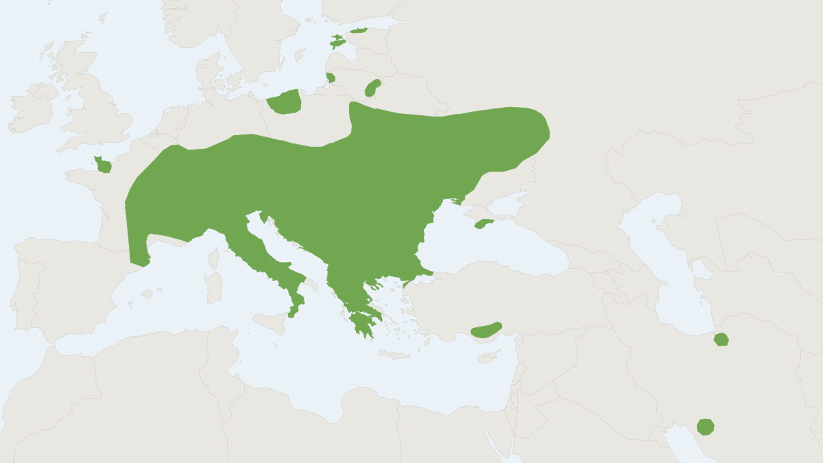 Range map of the Miller's Water Shrew (Neomys milleri)