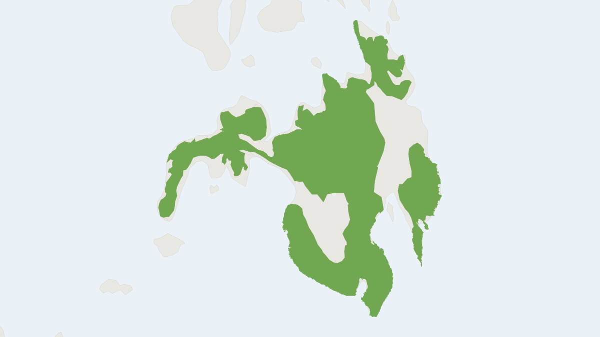 Range map of the Mindanao Fruit Bat (Ptenochirus wetmorei)