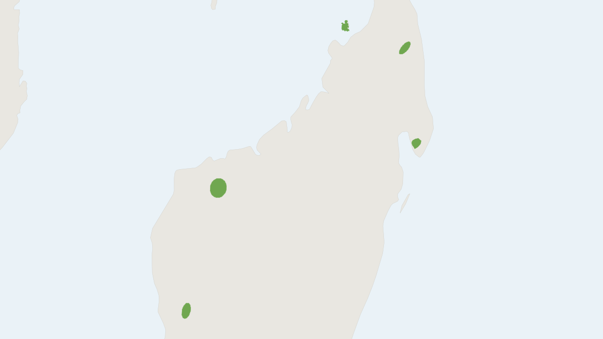 Range map of the Miniopterus brachytragos (Miniopterus brachytragos)