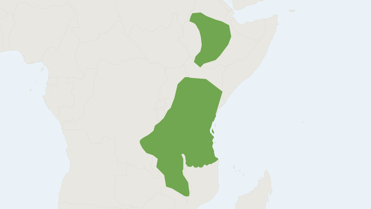 Range map of the Minor Epauletted Fruit Bat (Epomophorus minor)