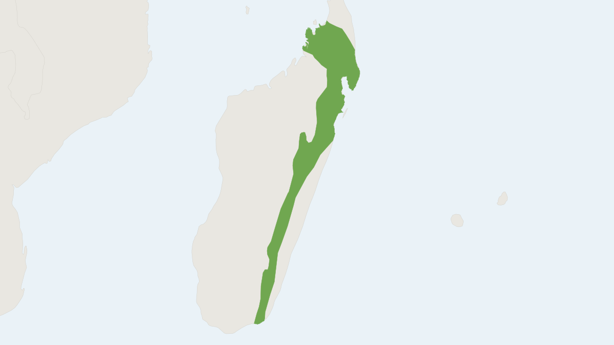 Range map of the Mole-like Rice Tenrec (Oryzorictes hova)