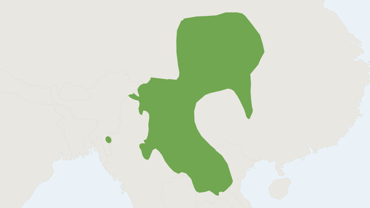 Range map of the Mole-shrew (Anourosorex squamipes)