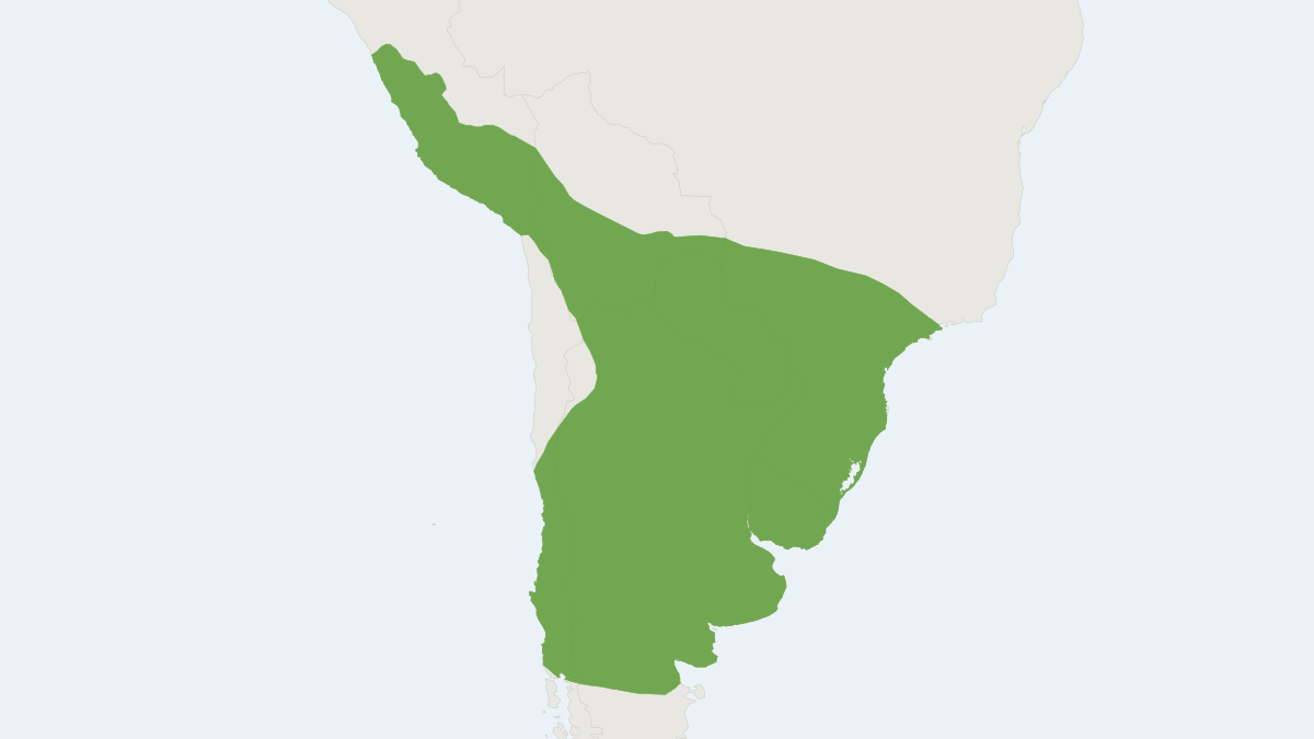Range map of the Molina's Hog-nosed Skunk (Conepatus chinga)