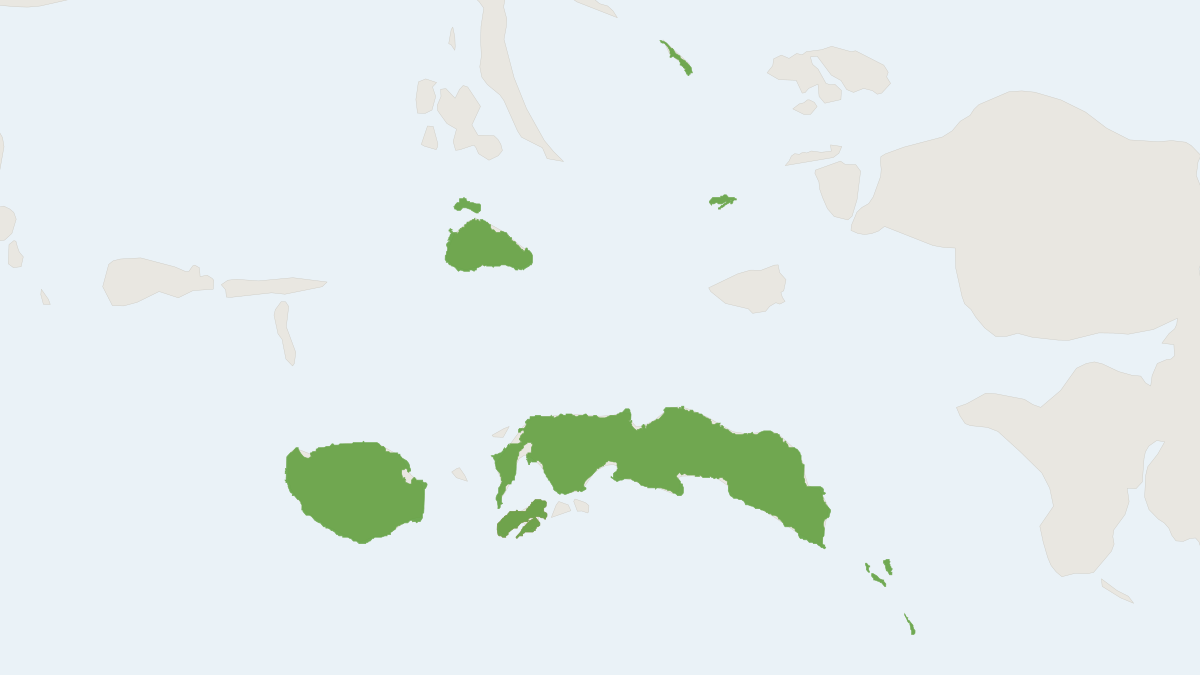 Range map of the Moluccan Flying Fox (Pteropus chrysoproctus)