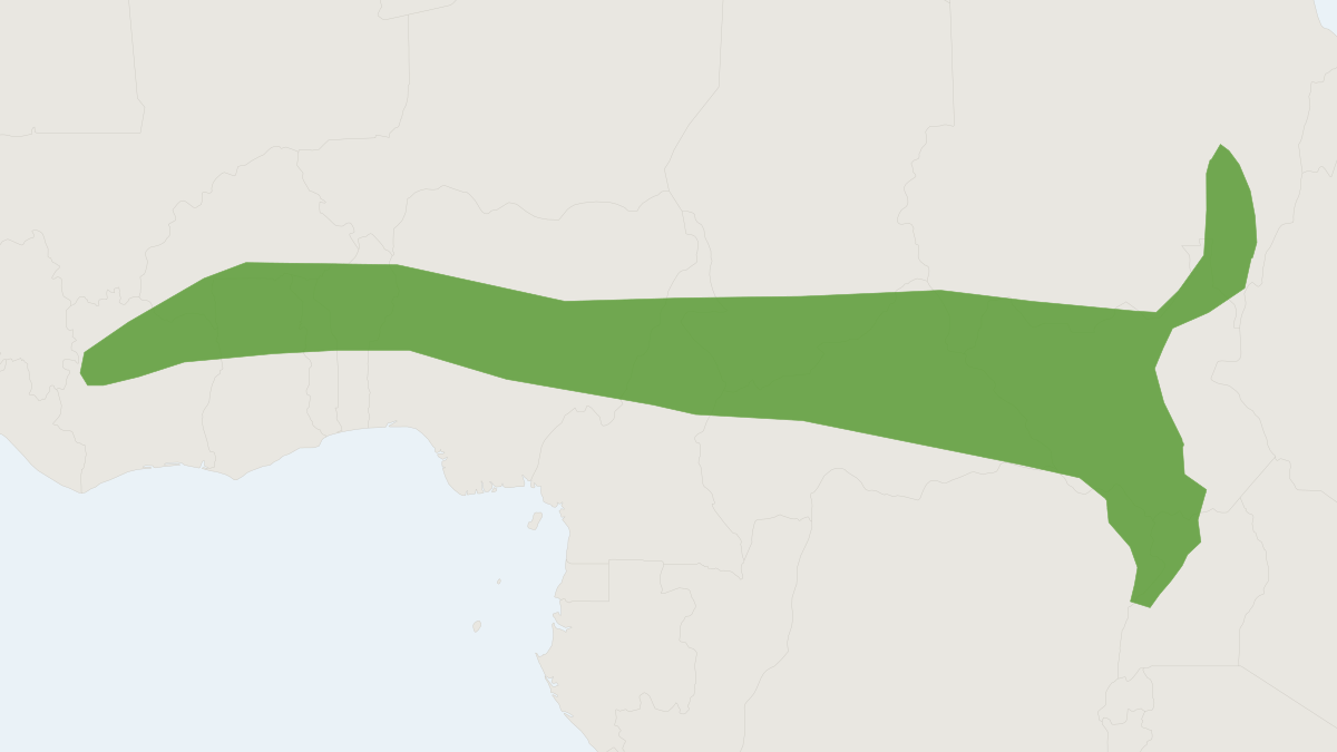 Range map of the Mongalla Mops Bat (Mops demonstrator)