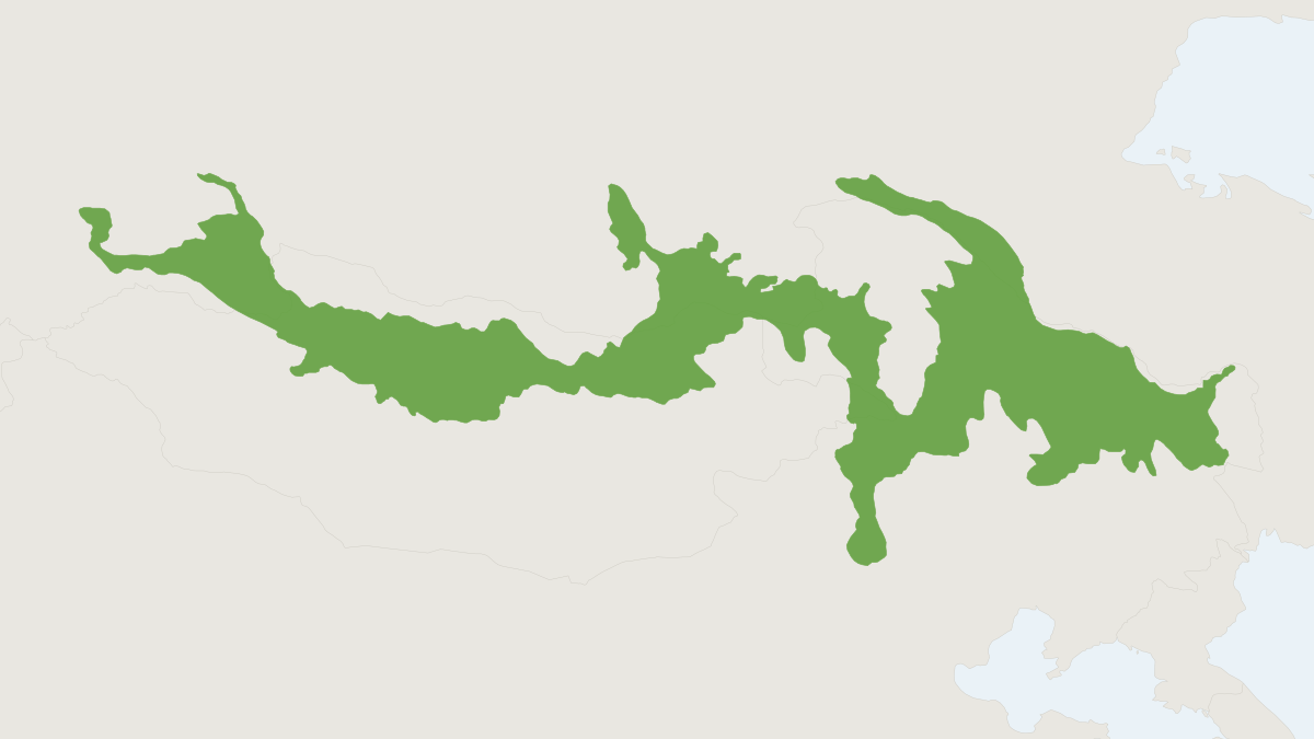 Range map of the Mongolian Vole (Alexandromys mongolicus)
