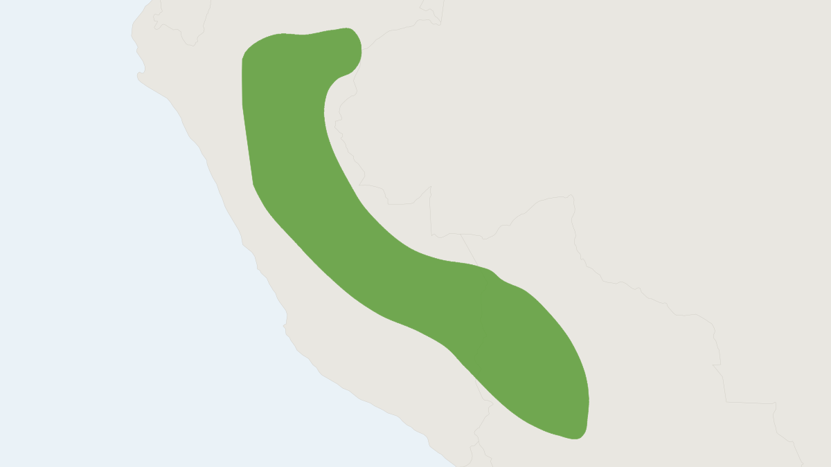 Range map of the Monodelphis peruviana (Monodelphis peruviana)