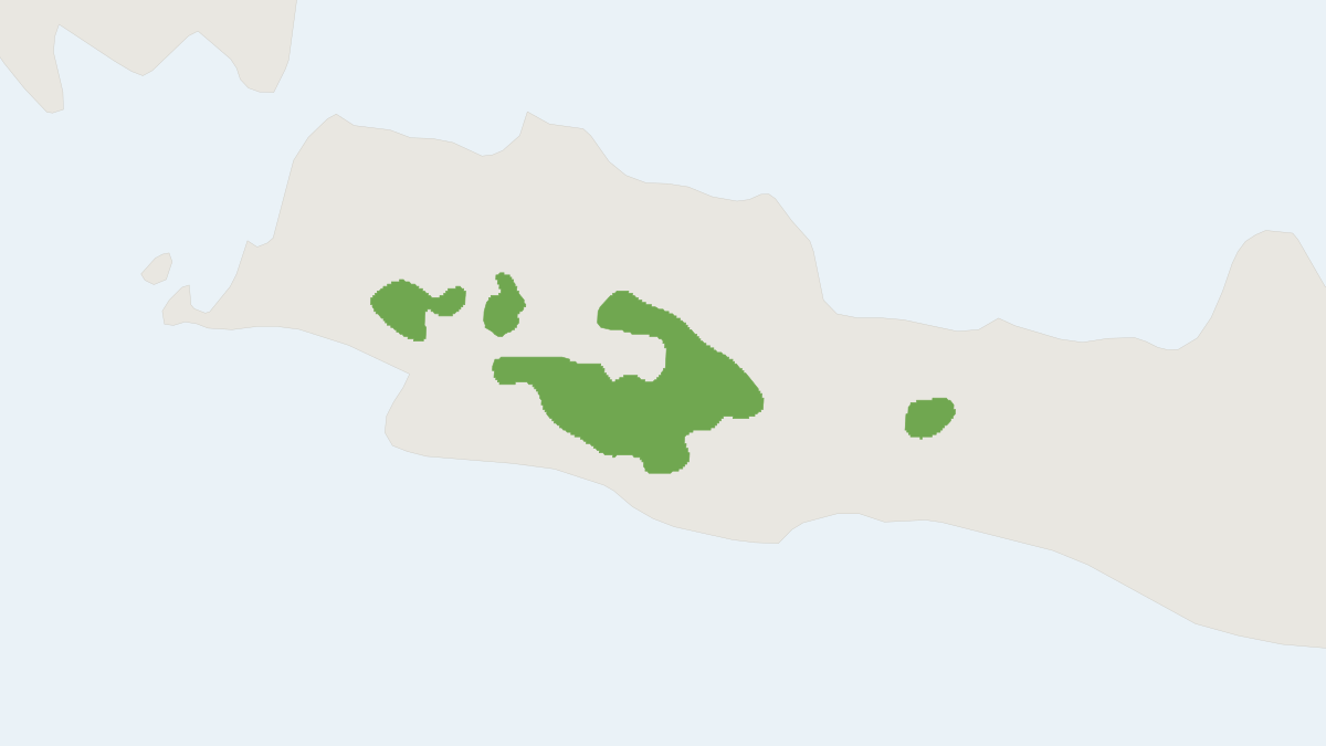 Range map of the Montane Javan Niviventer (Niviventer lepturus)
