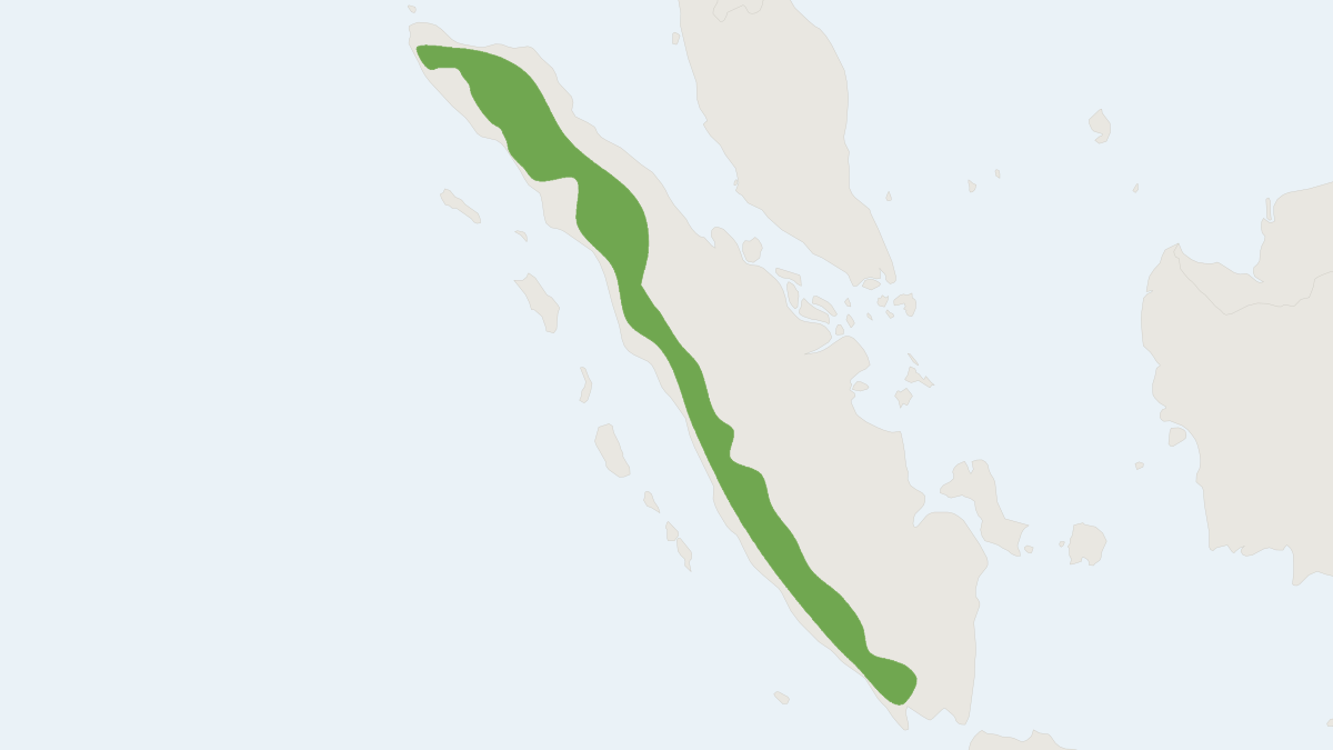Range map of the Montane Sumatran Niviventer (Niviventer fraternus)