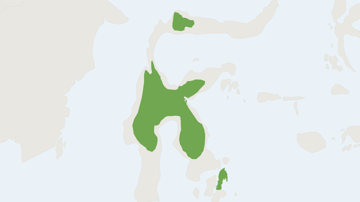 Range map of the Mountain Anoa (Bubalus quarlesi) covering Indonesia