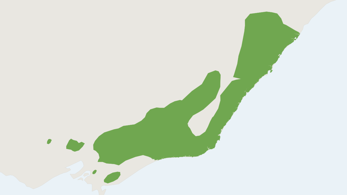 Range map of the Mountain Brush-tailed Possum (Trichosurus cunninghami)